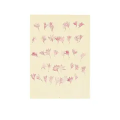 2024年最新】りん押し花の人気アイテム - メルカリ