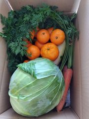 野菜の詰め合わせ