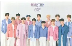 SEVENTEEN 2019 3RD FAN MEETING CARAT LAND 集合 トレーディングカード 0079