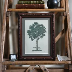 ヴィンテージフレーム「セイヨウナナカマド」希少な植物図鑑からの1ページと古い額縁のセット (アンティーク雑貨 蚤の市 ウォールデコ オブジェ レトロ アート フレーム 額縁 絵 ポスター  インテリア雑貨 古道具 フランスアンティーク ボタニカルアート)