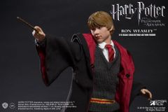 Star Ace Toys ハリー・ポッター リーマス・ルーピン SA0076 - メルカリ