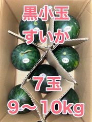 北海道沖縄離島追加送料なし　九州産赤肉小玉すいか《黒小玉》7玉