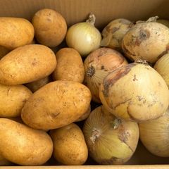 国産 じゃがいも　玉ねぎ　各種2kg詰め合わせ 合計4kg 野菜セット 野菜ソムリエ旬な産地から厳選