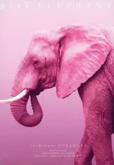 2025年最新】米倉利紀 DVDの人気アイテム - メルカリ