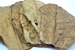 2025年最新】マジックリーフの人気アイテム - メルカリ