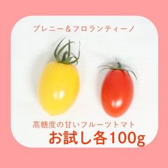 【お試し】フルーツミニトマト2種　食べ比べセット　ブレニー＆フロランティーノ