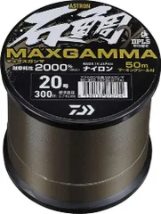 希少品】Daiwa SeaLine スカイライン 300 #石鯛