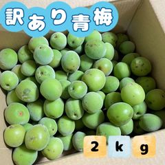 福岡県産 訳あり青梅 2kg ★自家製梅酒に