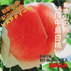 8月上旬~発送　真夏の紅玉「川中島白桃」(手提げ箱5~6玉入)/お買い得/少し訳あり/食べ頃/プチ贅沢/お取り寄せ/産地直送