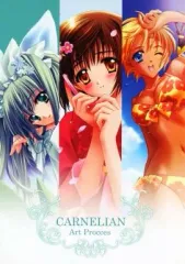 2025年最新】カーネリアンイラストの人気アイテム - メルカリ