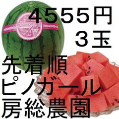４５５５円・３玉・第２弾・数量限定・ピノガール「小玉スイカランキング第１位」