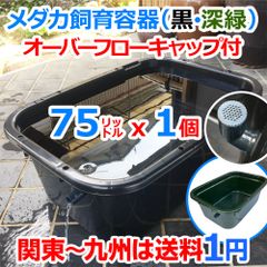 メダカ飼育ケース 75㍑黒x4個 オーバーフローキャップ付 めだか水槽 金魚飼育 メダカ飼育ケース 75㍑x1個 【黒・深緑あり】オーバーフロー