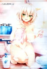 【中古】タペストリー 夕莉シャチ 描き下ろしB2タペストリー 「PS4/Switch ノラと皇女と野良猫ハート HD VERSION」 アニメイト購入特典