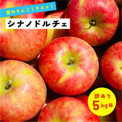 9月16日から9月31日まで発送 指定日不可 「シナノドルチェ5キロ箱訳あり品」農林水産大臣賞 長野県産 安曇野 信州産 産地直送