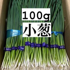 福岡県産　朝倉ネギ　100g