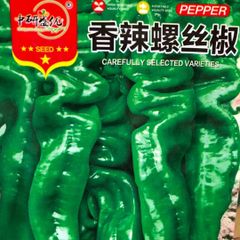 中国唐辛子 香辣螺丝椒 種　20粒 ピーマン 辣椒