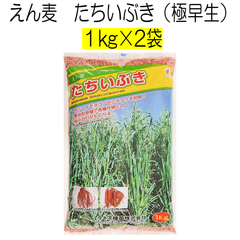 えん麦種子　たちいぶき　2kg　タキイ種苗【種】緑肥の種　サツマイモの前作　センチュウ対策