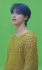 SEVENTEEN あいのちから DINO トレーディングカード