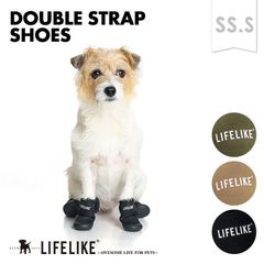 【ダブルストラップシューズSS-S】犬 靴 犬靴 犬の靴 ドッグシューズ ラバー お散歩 雨の日 小型犬 介護 怪我 ケア［ライフライク LIFELIKE公式］