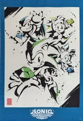 【中古】タペストリー [単品] 集合 墨絵 超音速針鼠 “団結” 掛け軸風A2タペストリー 「PS5/PS4/Switchソフト ソニックスーパースターズ セガストア限定 DXパック」 同梱特典