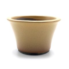 【未使用】盆栽鉢 4号 丸反型鉢 黄土色 黄釉 瀬戸焼 深型 陶器 観葉植物 アガベ 塊根 多肉 サボテン 雑木 約13センチ 小品 小さい 植木鉢 苔 うめきち盆栽用品店