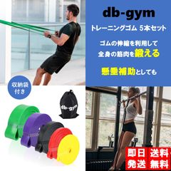 db-gym トレーニングチューブ 懸垂補助  5本セット ゴムチューブ トレーニングゴム レジスタンスバンド エクササイズバンド 筋トレ チューブトレーニング トレーニングゴムセット
