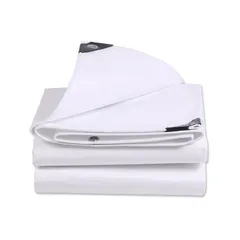 【数量限定】ANANXING ホワイトシート #4000 厚手 ブルー 防水シート 遮光・UVカット 屋外 防災 防雪 保温性 耐寒性 耐久性 (2.8m×3.8m ホワイト)