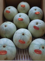 長崎県産 訳あり プリンスメロン 9玉 甘くて美味しい♪