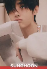 【中古】食玩 ステッカー・シール ソンフン(下部ネーム) ノーマルシール 「ENHYPEN ツインウエハース」