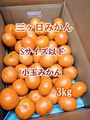 【小玉みかん】三ヶ日みかんご家庭用3kg 【農家直送】