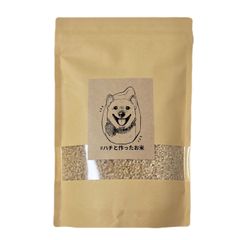玄米⚠️福岡県産 元気つくし4合(600g)🌾令和6年産100％ 送料無料