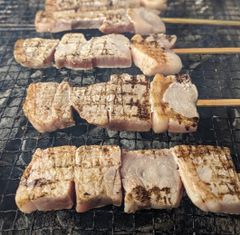 鹿児島黒豚　ジャンボ串　10本セット　バーベキュー　キャンプ　お祭り