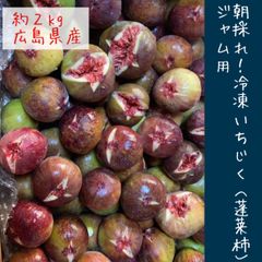 朝採れ尾道いちじく【秀品】蓬莱柿 約1.5kg クール発送 大小混合 - メルカリ