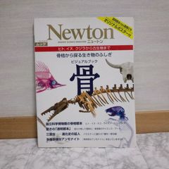 432bb13   ビジュアルブック骨: 骨格から探る生き物のふしぎ (NEWTONムック)