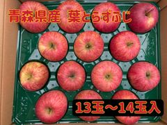 【家庭用】青森県産★葉とらずふじ13玉〜14玉入★りんご