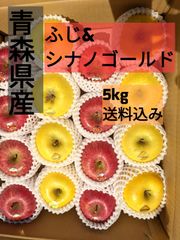 青森県産　りんご　ふじ&シナノゴールド　5kg