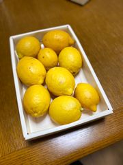 いちじく畑のレモン1kg