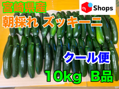 クール便 宮崎県産 ハウス栽培 朝採れ ズッキーニ 10キロ B品 美肌効果 免疫力アップ 便秘解消 血圧対策 ダイエット