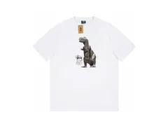 00s stussy 恐竜 スウェット 名作 00s オールドステューシー スウェットパーカー 恐竜