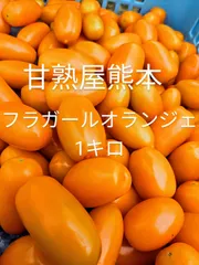 ミニトマト　フラガールオランジェ　1kg