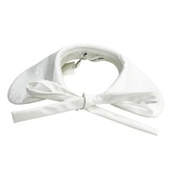 Item thumbnail for item ff8f97c7-3110-475a-9eaa-d6d8a30acc44