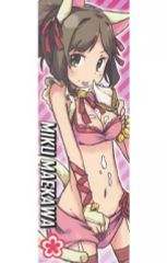 [중고] 동인 포스터·태피스트리·캘린더계 [아이돌 마스터] 스틱 포스터 마에카와 미쿠(상하) MyBestFriends5/도산제