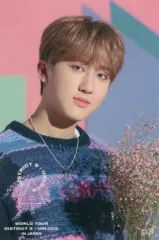 【中古】シール・ステッカー チャンビン オリジナルステッカー 「Stray Kids World Tour ‘District 9 ： Unlock’ IN JAPAN オンラインくじ」 E賞