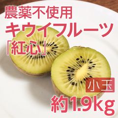 山梨県産キウイフルーツ（紅心）小玉約1.9kg