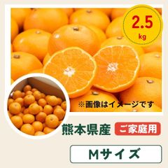 選果落ち 訳あり商品 熊本県産 みかん 約2.5kg 箱込み Ｍサイズ サイズ指定【002】極早生みかん 早生みかん 温州みかん 金峰 今村  熊本 九州 みかん 熊本産  蜜柑 食品 家庭用 訳あり 贈答不可 その他 果物 フルーツ