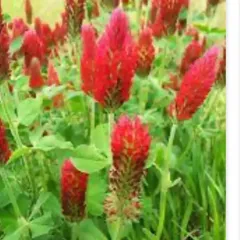 2025年最新】ストロベリーキャンドルの人気アイテム - メルカリ