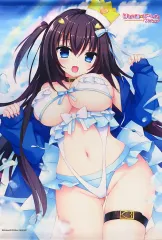 【中古】タペストリー 皇はねる 描き下ろしB2タペストリー 「PS4/Switchソフト けもの道☆ガーリッシュスクエア」 ソフマップ購入特典