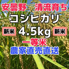 R4年産・新米【コシヒカリ白米4.5kg一等米】安曇野産自家製