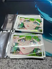 [デュエマ]未使用スリーブ40枚 天地命動バラギアラ/輪廻暴聖 スリーブ『[DM22-SP2]天地命動バラギアラ/輪廻暴聖』20枚入り