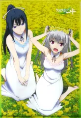 【中古】タペストリー 天河舞姫＆凛堂ほたる アニメ描き下ろしB2タペストリー 「Blu-ray/DVD クオリディア・コード」 ゲーマーズ全巻連動購入特典